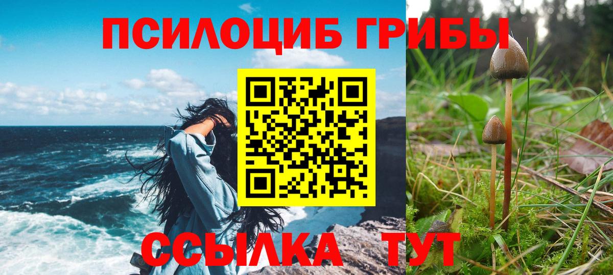 даркнет сайт  Галлюциногенные грибы мицелий  Псилоцибиновые грибы мухоморы  Вход с VPN  Тихорецк 